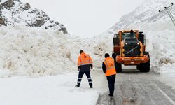 Van'da kar yağışı nedeniyle 446 yerleşim yerinin yolu kapandı