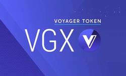 VGX coin yükselmeye devam eder mi? VGX coin sahibi kim?