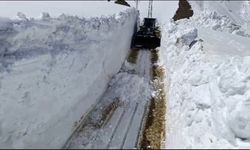 Yüksekova'da kardan kapanan üs bölgelerin yolları açıldı