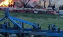 Çankırı'da çiftlikte çıkan yangında 21 büyükbaş hayvan öldü