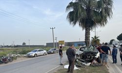 Adana'da, refüjdeki ağaca çarpan otomobilin sürücüsü ağır yaralandı