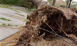 Konya'da fırtına ağaçları devirdi, baz istasyonu otomobilin üstüne düştü