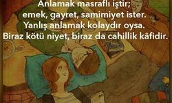 Anlamak Masraflı İştir; Emek İster, Gayret İster, Samimiyet İster sözü kime ait