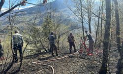 Artvin'de orman yangını; 2 hektar alan zarar gördü