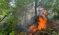 Bahçe temizliği için yakılan ateş ormana sıçradı: 5 dönüm alan yandı