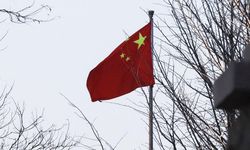 Çinli profesör ülkesine döndükten sonra kayboldu