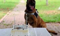 Adana'da narkotik dedektör köpeği "Hulk"un doğum günü kutlandı