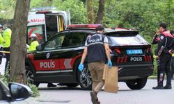 İstanbul'da taksiciyi bıçaklayıp yol kenarına attılar