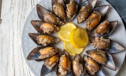 İstanbul'da 'zehirlenme' şüphesiyle ölümlerin ardından üç kişi daha tedavi altına alındı