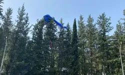Osmaniye'de paraşüt pilotu, rüzgar ters esince ağaçlara takıldı