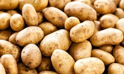 Bu da oldu: Diyarbakır’da ‘patates yolsuzluğu’
