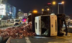 Küçükçekmece'de sakatat yüklü kamyon devrildi, sürücü kaza yerinden kaçtı