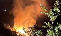 Yalova'da çıkan orman yangını 3 saatte söndürüldü: 2 gözaltı