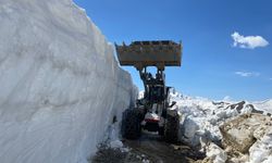 Yüksekova'da askeri üs bölgelerinin yolu, kar ve heyelandan temizlendi