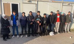 Edirne'de 19 kaçak göçmen yakalandı