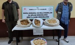 Araçta 86 kilo salep soğanı ele geçirildi: 387 bin lira ceza uygulandı