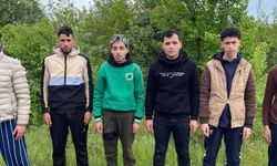 Edirne'de 6 kaçak göçmen yakalandı