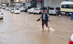 Adana'da sağanak ve fırtına; ağaçlar devrildi, yollar suyla doldu