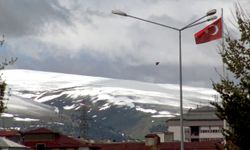 Ardahan'da dağlar yağan karla beyaza büründü