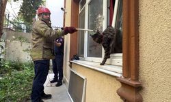 Avcılar’da bir kedi evin penceresine sıkıştı