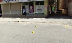 Urfa Birecik'te DEM Parti binasına silahlı saldırı: 14 mermi isabet etti