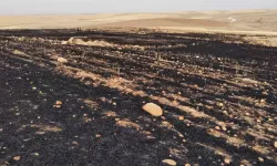 Diyarbakır’da 70 dönüm arpa ekili tarla yandı