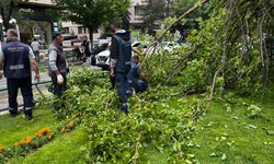 Eskişehir’de ağacın kırılan dalı, otomobilin üzerine düştü