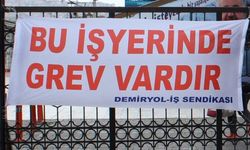 DİSK: Türkiye'de 2015'ten bu yana grev rekoru kırıldı