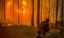 Harkiv’de bombardıman sonucu orman yangını