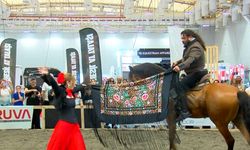 Atlar güzellik yarışmasında boy gösterdi; kalp krizi geçiren at öldü