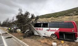 Isparta'da yolcu otobüsü ağaca çarptı: 11 yaralı