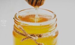 Balıkesir'de çam balı üretimi düştü, fiyatlar arttı