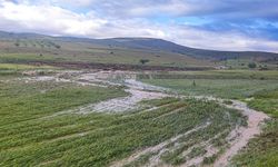 Niğde’de tarım arazileri dolu ve selden zarar gördü