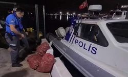 Samsun'da kaçak salyangoz avcılığı yapan kişiye 66 bin 114 lira ceza kesildi