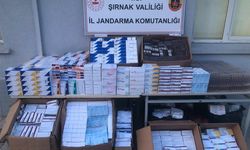 Şırnak’ta 3 milyon liralık kaçak ilaç ele geçirildi, 2 gözaltı