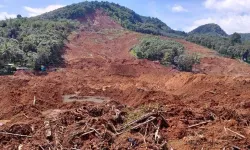 Papua Yeni Gine'deki toprak kaymasında 100'ü aşkın kişinin öldüğü tahmin ediliyor