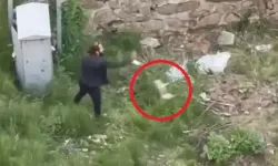 Trabzon’da bir kişi tekmelediği kediyi öldürüp, fırlattı