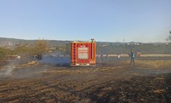Kastamonu'da anız kaynaklı çıkan yangında 4 dönüm tarla zarar gördü