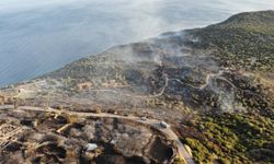 Assos Ören Yeri ve Athena Tapınağı’nı da etkileyen yangında 31 hektar alan zarar gördü
