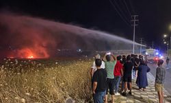 Diyarbakır’daki tarım arazisindeki yangına müdahaleye 9 TOMA destek verdi