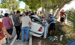 Otomobil ağaca çarptı: Baba, eşi ve kızı öldü, oğlu yaralandı