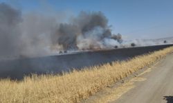 Kahramanmaraş'ta yaklaşık 150 dönüm buğday tarlası yandı