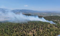Balıkesir'de orman yangınına müdahale ediliyor