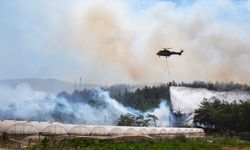 8 ilde orman ve anız yangını; TSK, İzmir'deki yangına helikopterle destek veriyor