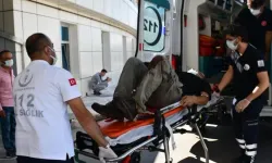 Ankara’da ‘acemi kasaplar’ hastanelik oldu