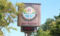 Adana'da sıcaklık 42 dereceye ulaştı: Kanala giren oğlunu kemerle dövdü!