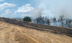 ABD'nin New Mexico eyaletinde orman yangını sebebiyle 7 bin kişi tahliye edilecek