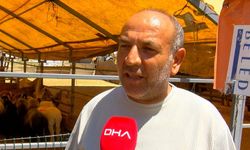 İstanbul kurban pazarlarında satıcılar toplanmaya başladı
