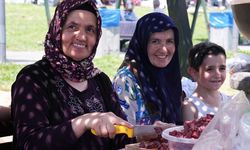 Bayram tatilini Ankara'da geçirenler mesire alanlarını tercih etti