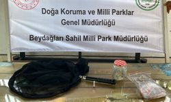Antalya’da ormanda izinsiz böcek toplayan Rus akademisyene 378 bin 141 lira ceza